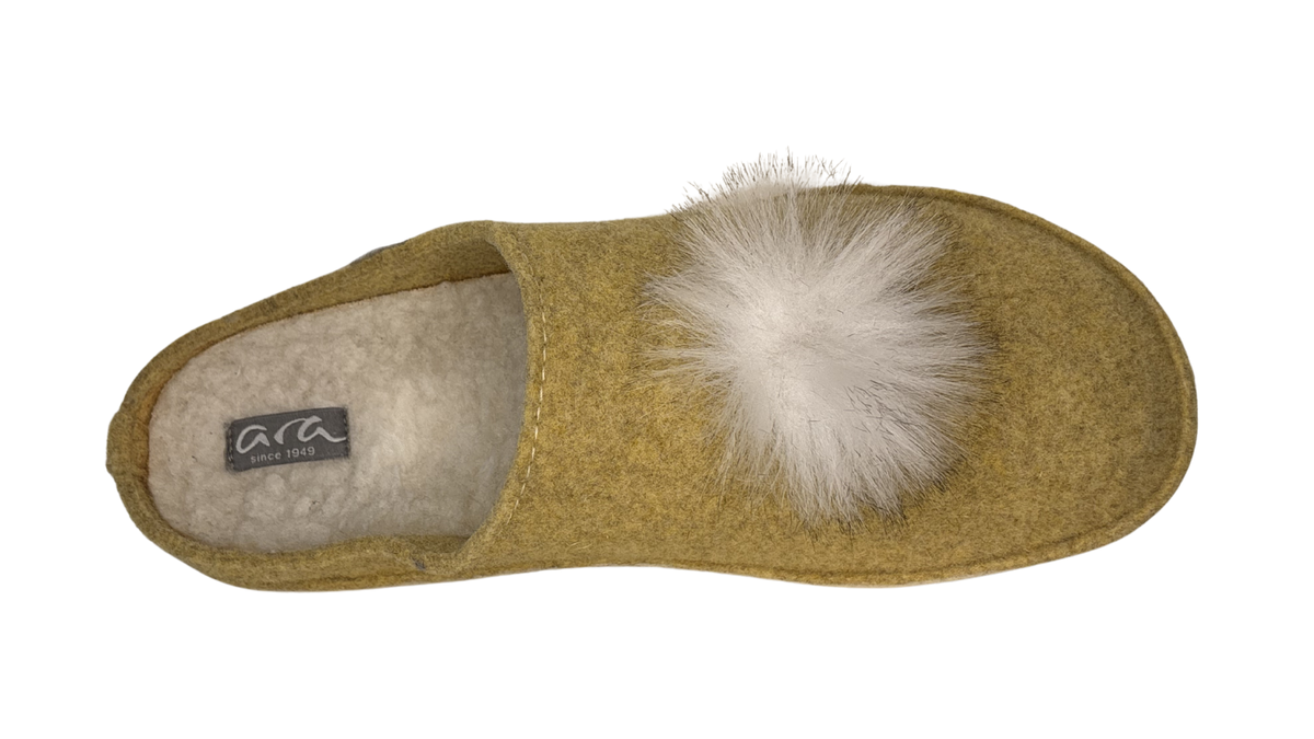 Cosy (29909)